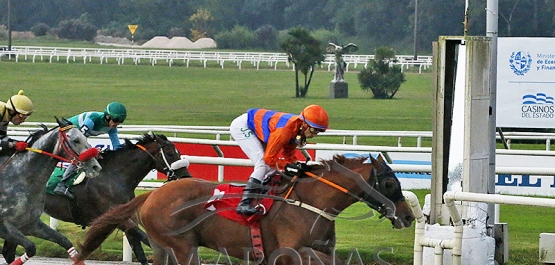 Viernes 26 de abril de 2024 - Hipódromo Nacional de Maroñas