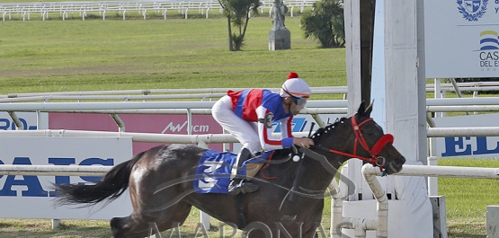 Sábado 24 de mayo de 2025 - Hipódromo Nacional de Maroñas