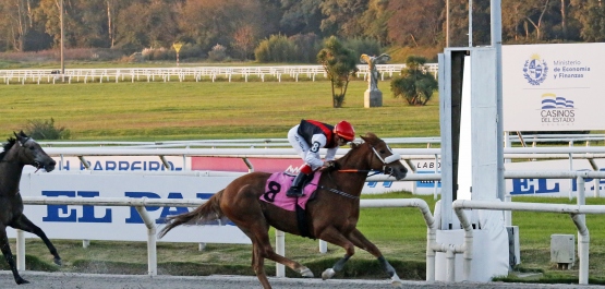 CLÁSICO ANTONIO, ANTONIO J. Y CYRO MATTOS
