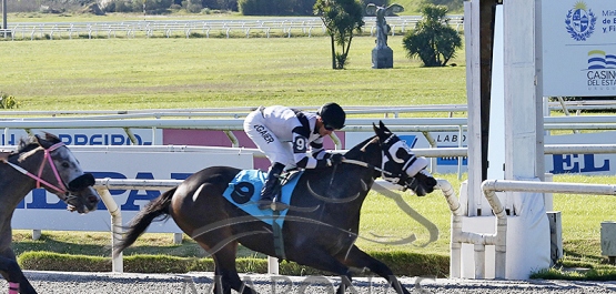 Sábado 31 de mayo de 2025 - Hipódromo Nacional de Maroñas