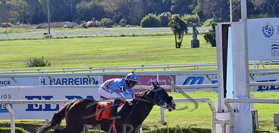 Domingo 1° de junio de 2025 - Hipódromo Nacional de Maroñas