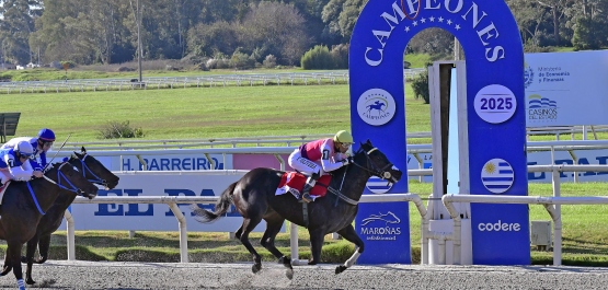 CLÁSICO CAMPEONES JUVENILE SPRINT