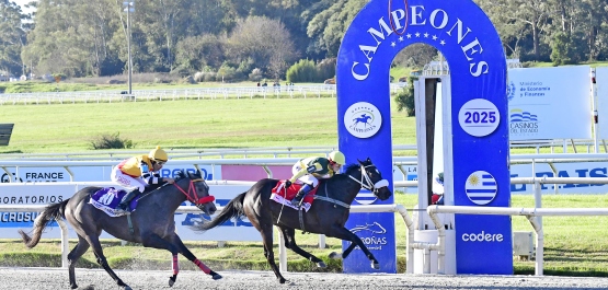 CLÁSICO CAMPEONES JUVENILE FILLIES