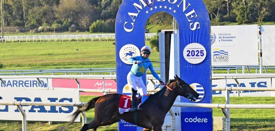 CLÁSICO CAMPEONES DISTAFF
