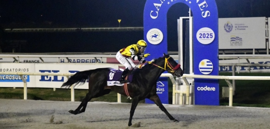 CLÁSICO CAMPEONES SPRINT