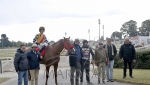 Reunión No.50 Hipódromo Nacional de Maroñas