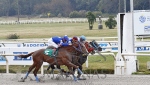 Reunión No.50 Hipódromo Nacional de Maroñas