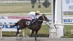 Reunión No.50 Hipódromo Nacional de Maroñas