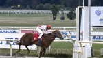 Reunión No.50 Hipódromo Nacional de Maroñas