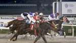 Reunión No.50 Hipódromo Nacional de Maroñas