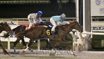 Reunión No.50 Hipódromo Nacional de Maroñas