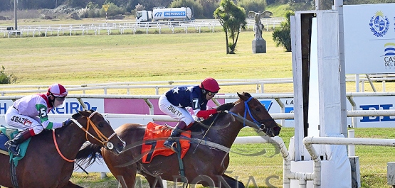 Domingo 6 de julio de 2025 - Hipódromo Nacional de Maroñas