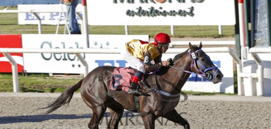 Hipódromo Nacional de Maroñas - Viernes 30 de Enero