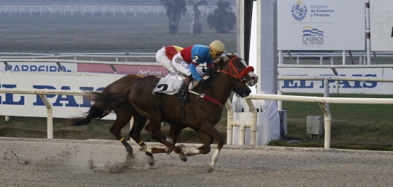 HANDICAP ESPECIAL PASTOR VICTORICA