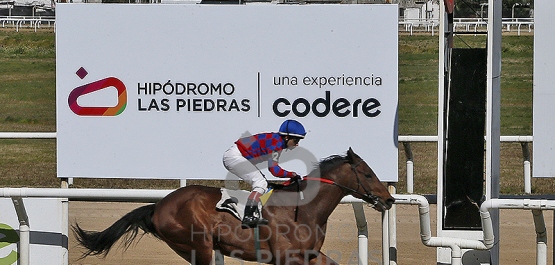 Viernes 15 de agosto de 2025 - Hipódromo Las Piedras