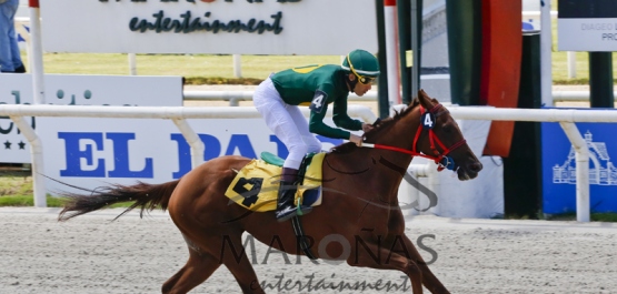 Hipódromo Nacional de Maroñas - Domingo 1° de Febrero