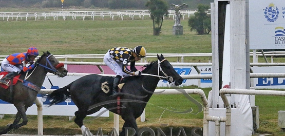 Domingo 17 de agosto de 2025 - Hipódromo Nacional de Maroñas
