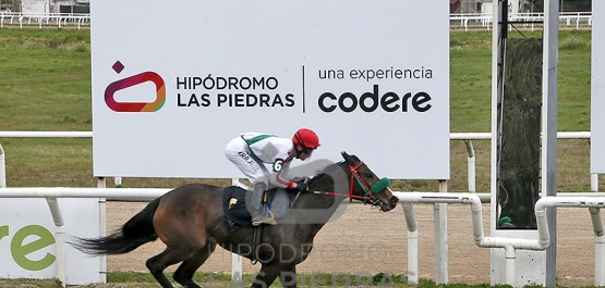 Viernes 29 de agosto de 2025 - Hipódromo Las Piedras