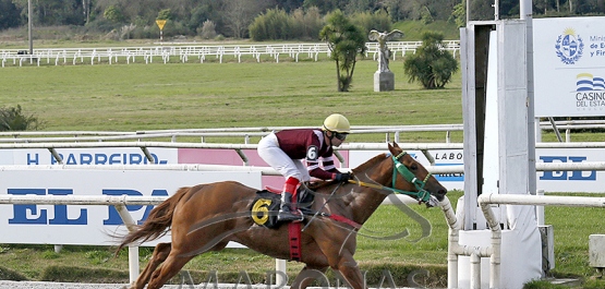 Sábado 30 de agosto de 2025 - Hipódromo Nacional de Maroñas