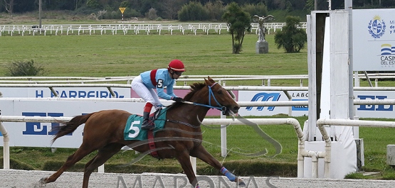 Domingo 31 de agosto de 2025 - Hipódromo Nacional de Maroñas