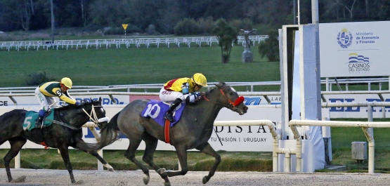 GRAN PREMIO POLLA DE POTRANCAS