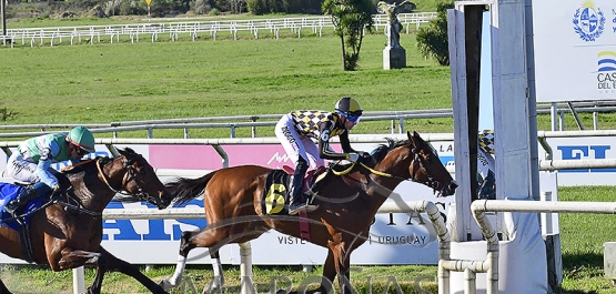 Viernes 12 de septiembre de 2025 - Hipódromo Nacional de Maroñas