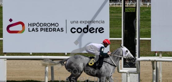 Sábado 13 de septiembre de 2025 - Hipódromo Las Piedras