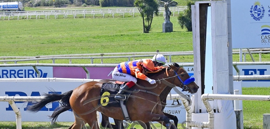 Domingo 14 de septiembre de 2025 - Hipódromo Nacional de Maroñas
