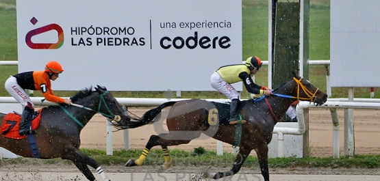 Viernes 19 de septiembre de 2025 - Hipódromo Las Piedras