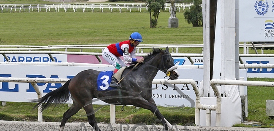 Domingo 21 de septiembre de 2021 - Hipódromo Nacional de Maroñas