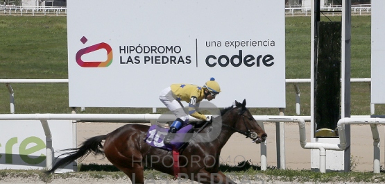 Viernes 26 de septiembre de 2025 - Hipódromo Las Piedras