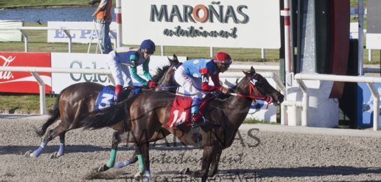 Hipódromo Nacional de Maroñas - Viernes 6 de Febrero