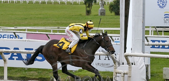 Sábado 27 de septiembre de 2025 - Hipódromo Nacional de Maroñas
