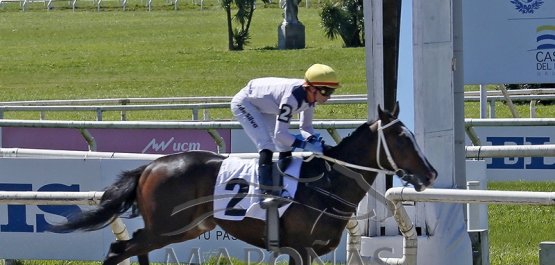 Domingo 28 de setiembre de 2025 - Hipódromo Nacional de Maroñas