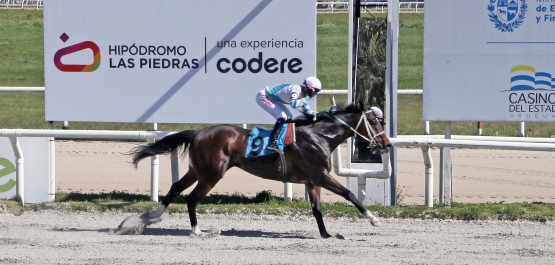 PREFERENCIAL "PABLO G. FALERO"