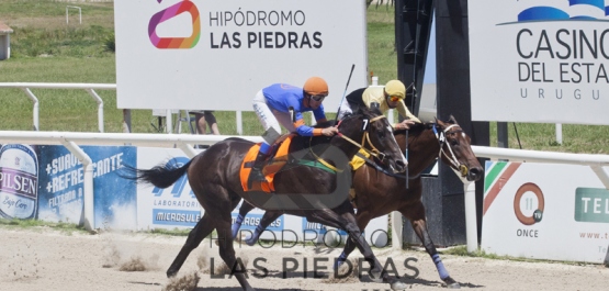 Hipódromo Las Piedras - Sábado 7 de Febrero de 2015