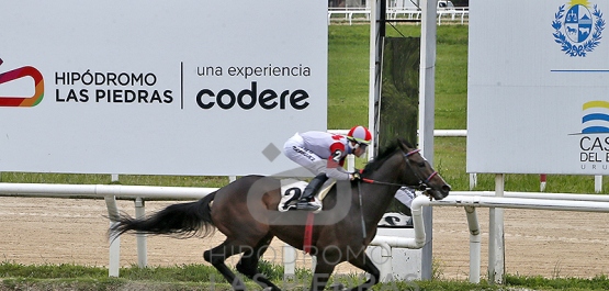 Viernes 17 de octubre de 2025 - Hipódromo Las Piedras