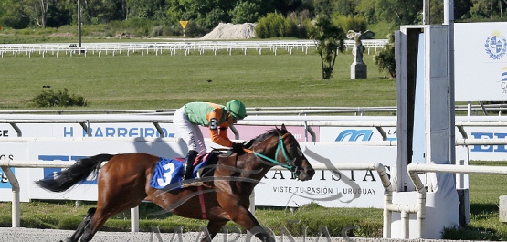 Sábado 18 de octubre de 2025 - Hipódromo Nacional de Maroñas