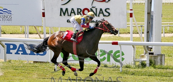Domingo 19 de octubre de 2025 - Hipódromo Nacional de Maroñas