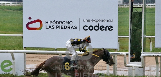 Viernes 24 de octubre de 2025 - Hipódromo Las Piedras