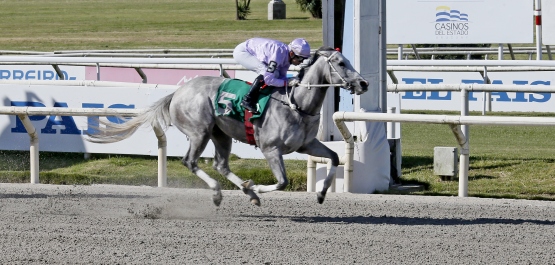 CLÁSICO MARCELO, MAURICIO Y ANDRES WILDEMAUWE
