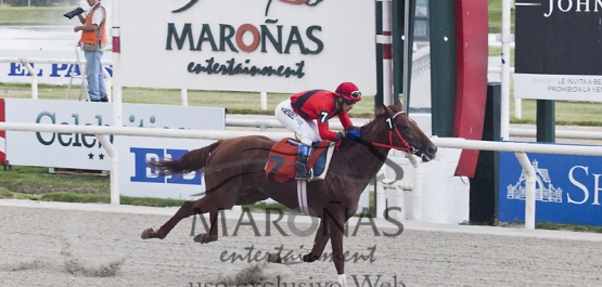 Hipódromo Nacional de Maroñas - Domingo 8 de Febrero