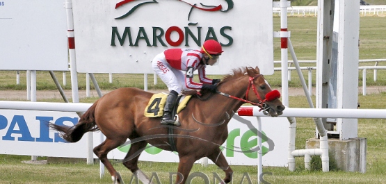 Sábado 22 de noviembre de 2025 - Hipódromo Nacional de Maroñas