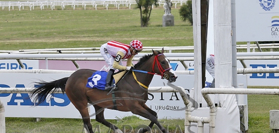 Sábado 29 de noviembre de 2025 - Hipódromo Nacional de Maroñas