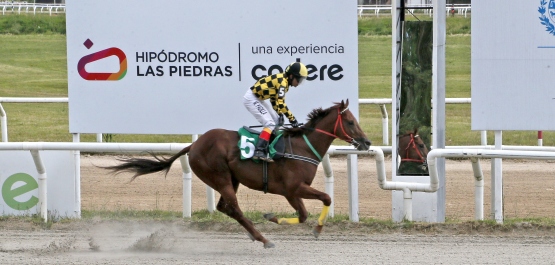 PREFERENCIAL "HARVARD"