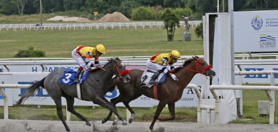 CLÁSICO ESTADOS UNIDOS DE AMERICA