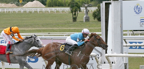 Domingo 7 de diciembre de 2025 - Hipódromo Nacional de Maroñas