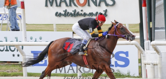 Hipódromo Nacional de Maroñas - Sábado 14 de Febrero