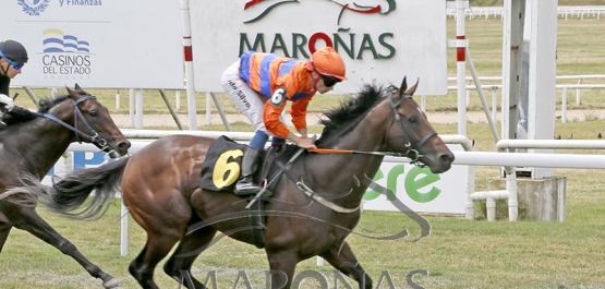 Domingo 14 de diciembre de 2025 - Hipódromo Nacional de Maroñas