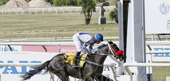 Viernes 19 de diciembre de 2025 - Hipódromo Nacional de Maroñas